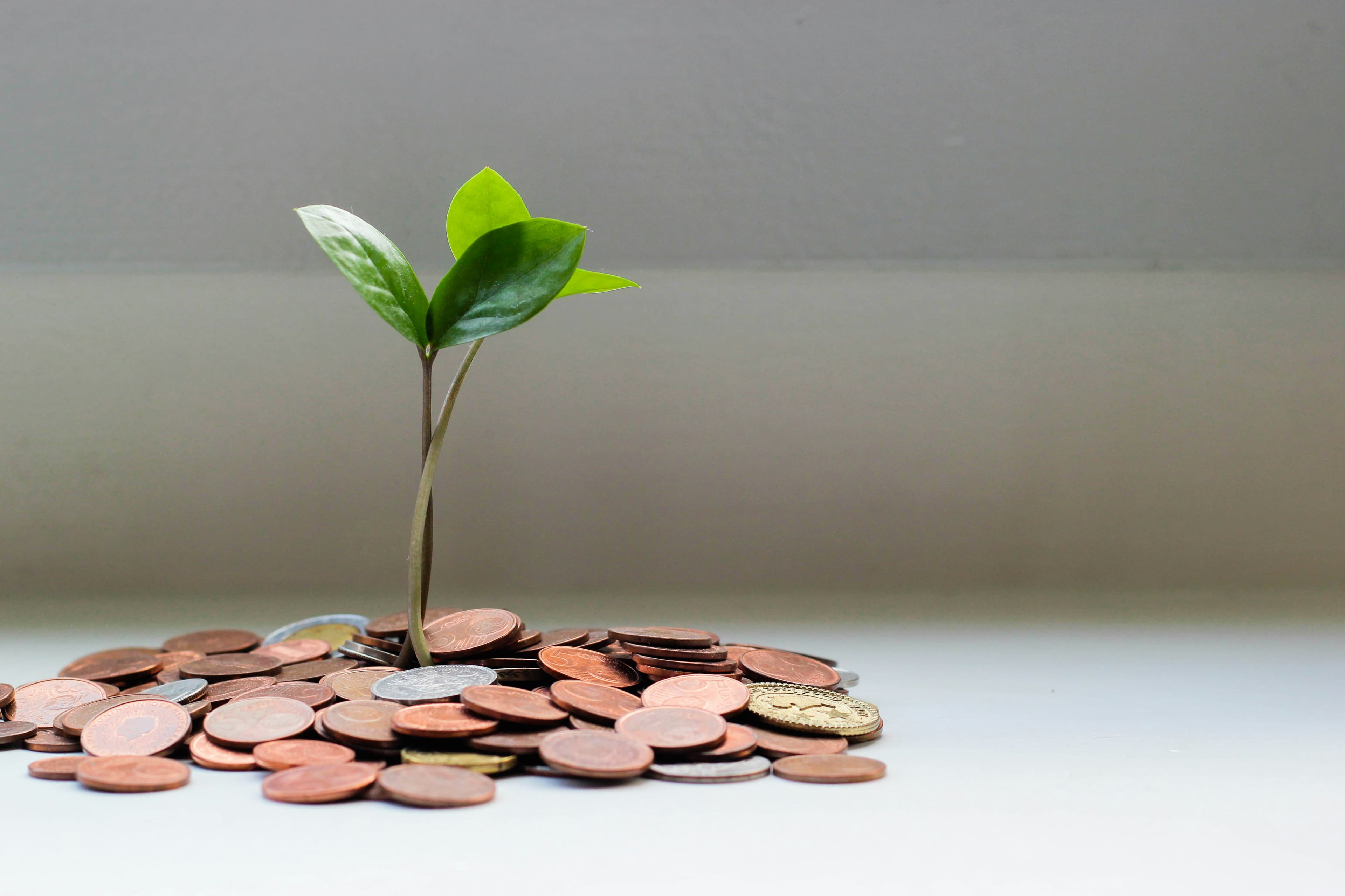 Business Financing
